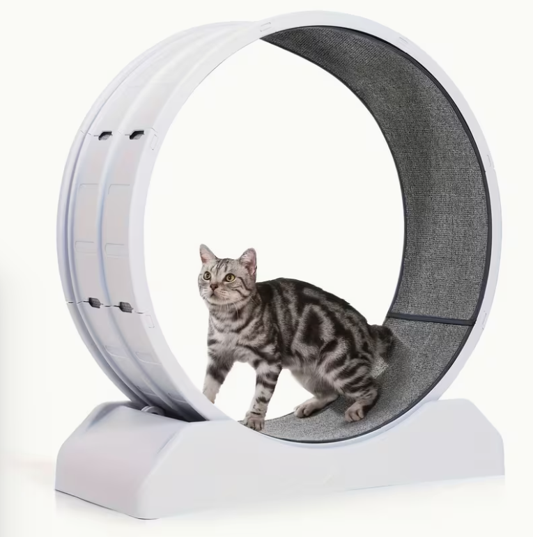 33-Inch Large Carpet-Surface Cat Exercise Wheel