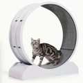 33-Inch Large Carpet-Surface Cat Exercise Wheel
