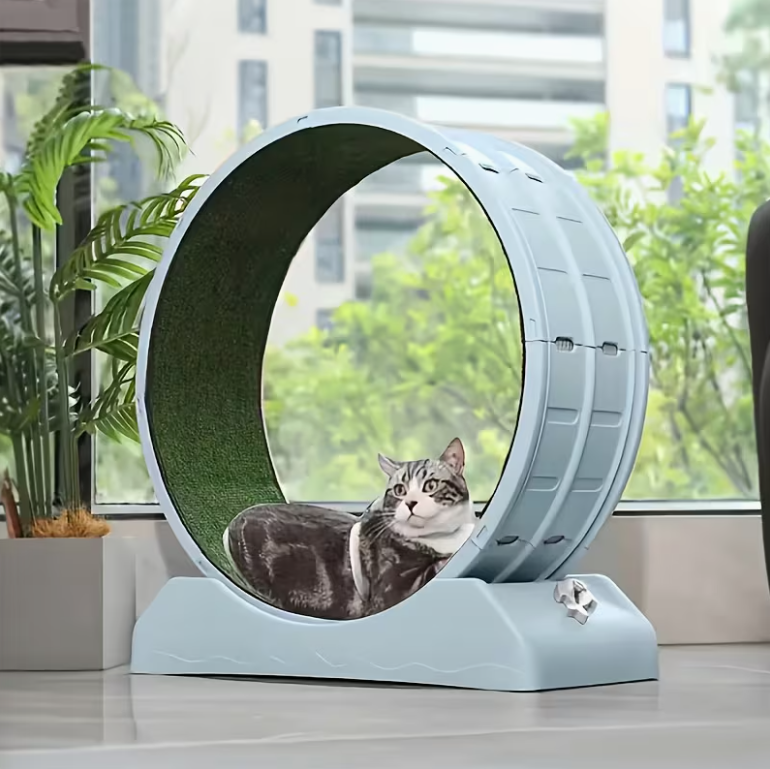 33-Inch Large Carpet-Surface Cat Exercise Wheel