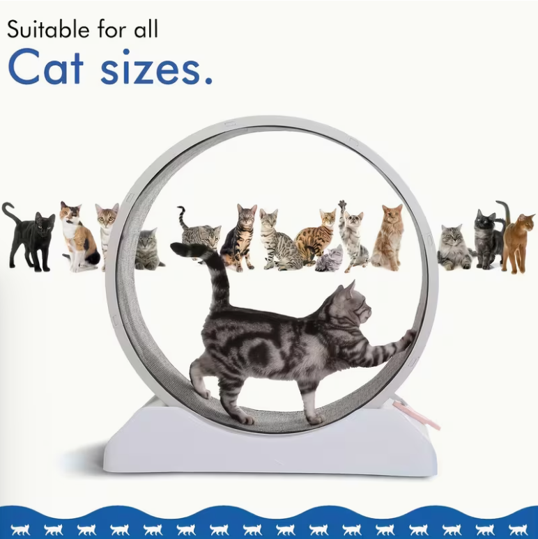 33-Inch Large Carpet-Surface Cat Exercise Wheel