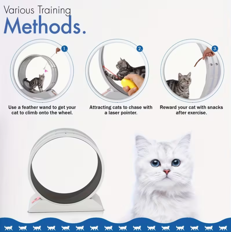 33-Inch Large Carpet-Surface Cat Exercise Wheel