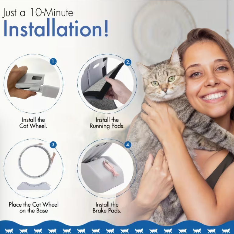33-Inch Large Carpet-Surface Cat Exercise Wheel
