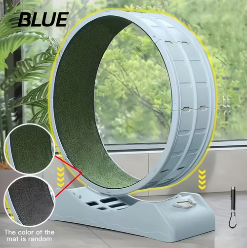 33-Inch Large Carpet-Surface Cat Exercise Wheel